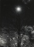 [Untitled]