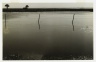 [Untitled] (Barbed Wire Fence, Florida)