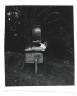 [Untitled] (Brown Backyard, Maine)