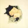 Brooklyn Museum: Yellow Blossom