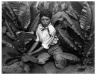 Child Labor in Tobacco Field, Connecticut