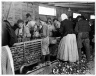 Oyster Shuckers,  Pass Christian, Mississippi