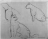 Pumas