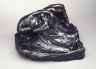 The Fallen Angel, or Illusions Received by the Earth (La Chute d