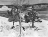 White Christmas, Maine