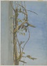 Wisteria on a Wall