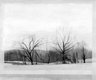 Brooklyn Museum: The Inversion