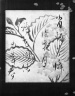 Kanshi on Shikishi, Chinese Poem on Sheet Mounted as Hanging Scroll