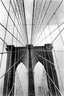 Brooklyn Museum: [Untitled]