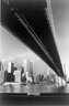 Brooklyn Museum: [Untitled]