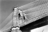 Brooklyn Museum: [Untitled]