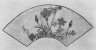 Wild Flowers