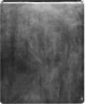 Brooklyn Museum: Portrait of Mlle Fiocre in the Ballet 