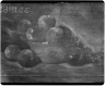 Brooklyn Museum: Still Life with Peaches