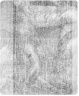 Brooklyn Museum: Mrs. Elizabeth Smith (née Elizabeth Chew)