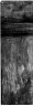 Brooklyn Museum: Street Scene (Hester Street)
