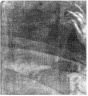 Brooklyn Museum: Portrait of a Woman