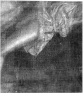 Brooklyn Museum: Portrait of a Woman