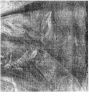 Brooklyn Museum: Portrait of a Woman