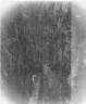 Brooklyn Museum: A Storm in the Rocky Mountains, Mt. Rosalie