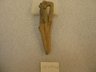 Fragment of Figurine of Woman