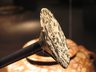 Disk-Shaped Mace Head
