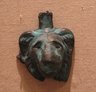 Lion Head