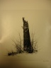 Larz Anderson Park, Brookline