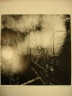 Olmsted Park, Jamaica Plain (Weeds in Water)