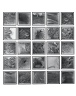 Cartographic Series I