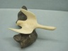 Loon on a Rock