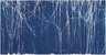 Brooklyn Museum: Memento (Lag Wagon)