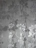Wallpaper, Frequencies Line, Sleeping Briar Rose Pattern
