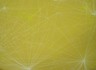 Wallpaper, Frequencies Line, Voyageur Pattern
