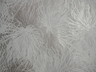 Wallpaper, Frequencies Line, Anemone Pattern