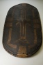 Shield