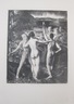 Lychnis and Her Sons
