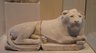 Recumbent Lion