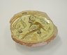 Base of a Bowl
