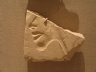 Fragment of Mold