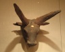 Head of a Bull