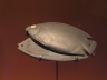 Toilet Dish in Two Parts in the Form of a Fish