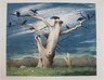 The Crow Tree