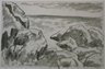 Rocky Coast