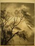 April Winds and Showers