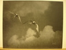 Flight