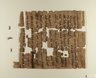 Papyrus