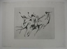 The Flight of the Sylphs