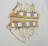 Pair of Chief