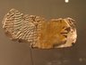 Relief Fragment Showing Head of Queen Ahmose
